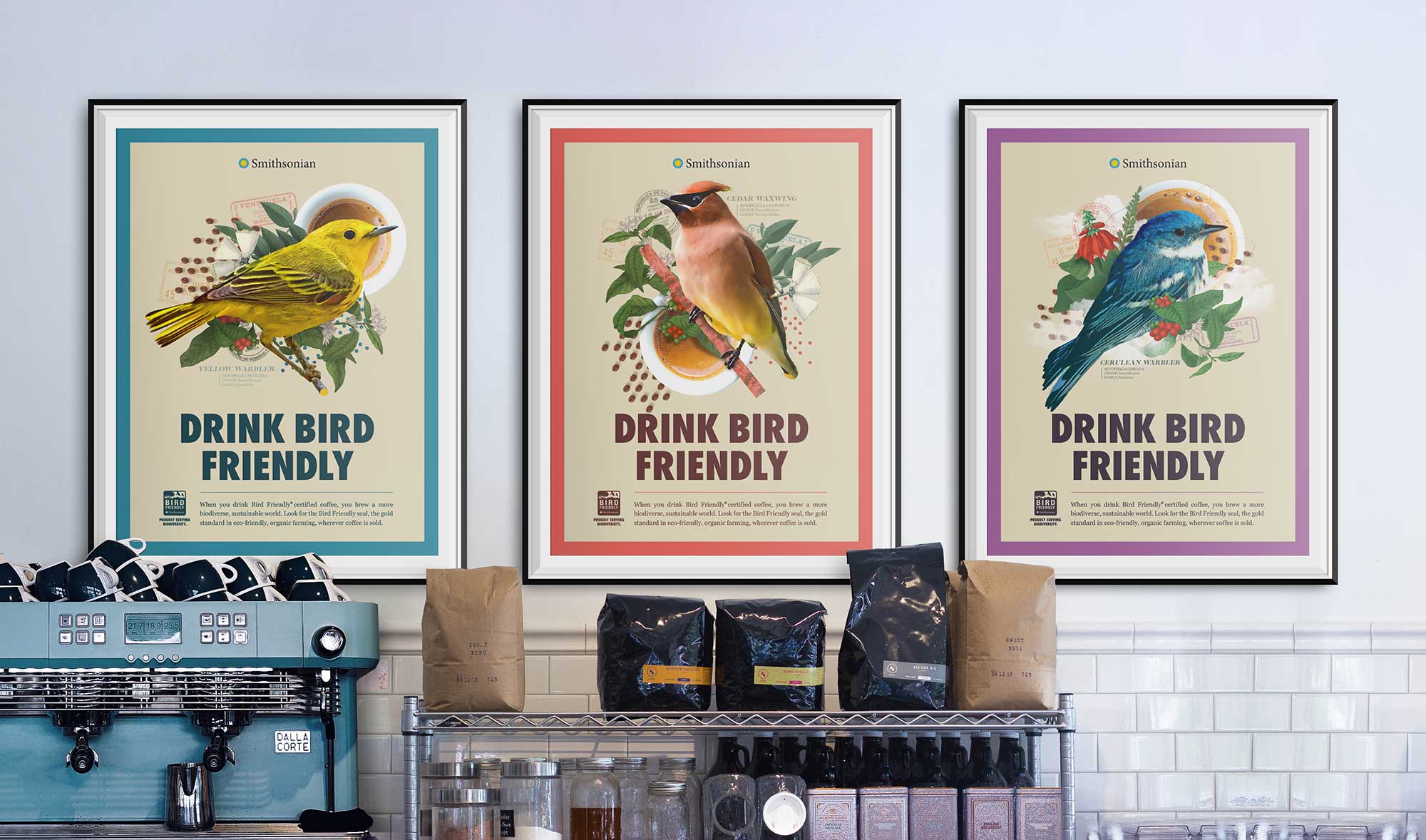 CaseStudy - Smithsonian | Oliver Russell
